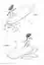 Fig. 02 - Surfing toy