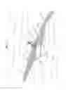 Fig. 14 - Surfing toy