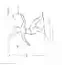 Fig. 16 - Surfing toy