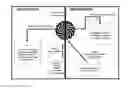 Fig. 01 - Separating and Demineralizing Biomolecule Solutions by Electrodialysis