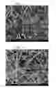 Fig. 11 - Blood purification membrane, method for manufacturing blood purification membrane, and dialysis device