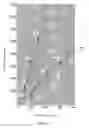 Fig. 20 - MIXING CAPACITY MEASURING DEVICE