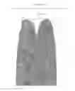 Fig. 10 - Dispersants having biobased compounds