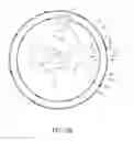 Fig. 13 - Centrifugal channel device