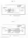 Fig. 33 - Nucleic acid amplification device, nucleic acid amplification apparatus, and nucleic acid amplification method for transporting reaction solution including target nucleic acid via capillary force to amplify target nucleic acid