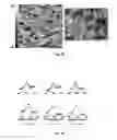Fig. 04 - Carbene-functionalized composite materials