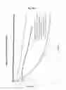 Fig. 19 - Carbene-functionalized composite materials