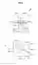 Fig. 04 - Method for manufacturing press-formed product and press-forming apparatus