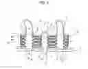 Fig. 03 - Heat exchanger
