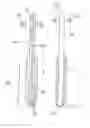 Fig. 01 - Method and device for blow-molding containers which are sterile at least in some areas