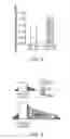 Fig. 03 - Scaffold having a shaped strut and methods for shaping scaffold struts