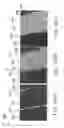 Fig. 06 - Method of stereolithography fabrication and photo-curing photosensitive resin