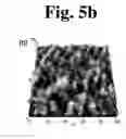 Fig. 08 - DEVICE FOR CONTINUOUSLY PREPARING ION EXCHANGE MEMBRANE