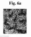 Fig. 09 - DEVICE FOR CONTINUOUSLY PREPARING ION EXCHANGE MEMBRANE