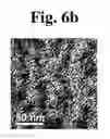 Fig. 10 - DEVICE FOR CONTINUOUSLY PREPARING ION EXCHANGE MEMBRANE