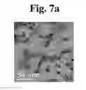 Fig. 11 - DEVICE FOR CONTINUOUSLY PREPARING ION EXCHANGE MEMBRANE