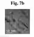 Fig. 12 - DEVICE FOR CONTINUOUSLY PREPARING ION EXCHANGE MEMBRANE