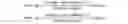 Fig. 02 - Elastomeric films having increased tear resistance