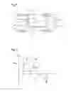 Fig. 02 - Method and device for adjusting a torque of a driven wheel of a motor vehicle