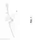 Fig. 02 - Self-tightening rotor