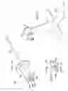 Fig. 03 - Tail rotor actuation system