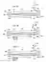 Fig. 04 - Tail rotor actuation system