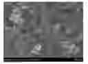 Fig. 01 - Graphene composite powder form material and method for making the same