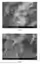 Fig. 04 - Graphene composite powder form material and method for making the same