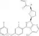 Fig. 240 - Polyfluorinated compounds acting as bruton tyrosine kinase inhibitors