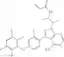 Fig. 455 - Polyfluorinated compounds acting as bruton tyrosine kinase inhibitors