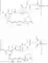 Fig. 29 - Maytansinoid Derivatives