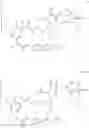 Fig. 32 - Maytansinoid Derivatives