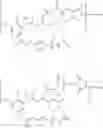 Fig. 33 - Maytansinoid Derivatives