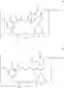 Fig. 44 - Maytansinoid Derivatives