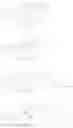 Fig. 48 - Maytansinoid Derivatives