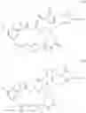 Fig. 53 - Maytansinoid Derivatives