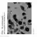 Fig. 20 - Forms of rifaximin and uses thereof