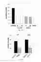 Fig. 08 - Modified mini-hepcidin peptides and methods of using thereof