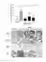 Fig. 13 - Modified mini-hepcidin peptides and methods of using thereof