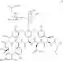 Fig. 07 - Vancomycin derivative, and preparation method and application thereof