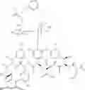 Fig. 28 - Vancomycin derivative, and preparation method and application thereof