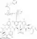 Fig. 29 - Vancomycin derivative, and preparation method and application thereof