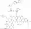 Fig. 48 - Vancomycin derivative, and preparation method and application thereof