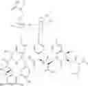 Fig. 50 - Vancomycin derivative, and preparation method and application thereof