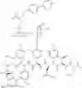Fig. 68 - Vancomycin derivative, and preparation method and application thereof