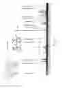 Fig. 08 - Compound, Transitmycin, Effective Against Bacterial and Viral Pathogens