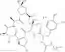 Fig. 07 - Substituted urea depsipeptide analogs as activators of the CLPP endopeptidase