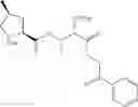 Fig. 141 - Substituted urea depsipeptide analogs as activators of the CLPP endopeptidase