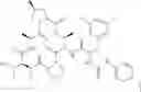 Fig. 237 - Substituted urea depsipeptide analogs as activators of the CLPP endopeptidase