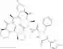 Fig. 286 - Substituted urea depsipeptide analogs as activators of the CLPP endopeptidase